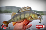 Ripper REDBASS SWIMMER L - 90 mm