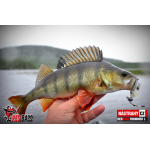 Ripper REDBASS SWIMMER L - 90 mm