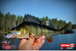 Ripper REDBASS SWIMMER L - 90 mm