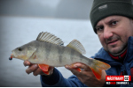 Ripper REDBASS SWIMMER L - 90 mm