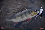 Ripper REDBASS SWIMMER L - 90 mm