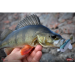 Ripper REDBASS SWIMMER L - 90 mm