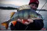 Ripper REDBASS SWIMMER L - 90 mm