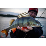 Ripper REDBASS SWIMMER L - 90 mm
