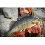 Ripper REDBASS SWIMMER L - 90 mm