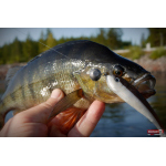 Ripper REDBASS SWIMMER L - 90 mm
