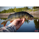 Ripper REDBASS SWIMMER L - 90 mm