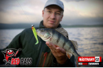 Ripper REDBASS SWIMMER L - 90 mm