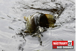 Ripper REDBASS SWIMMER XL - 140 mm