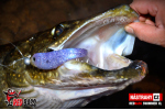 Ripper REDBASS SWIMMER XL - 140 mm