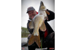Ripper REDBASS SWIMMER L - 90 mm