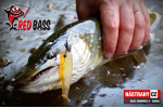 Ripper REDBASS SWIMMER L - 90 mm