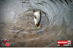 Ripper REDBASS SWIMMER XL - 140 mm