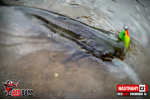 Ripper REDBASS SWIMMER XL - 140 mm