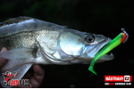 Ripper REDBASS SWIMMER SLIM XL - 125 mm