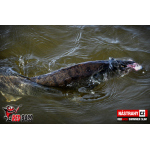 Ripper REDBASS SWIMMER SLIM XL - 125 mm