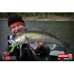 Ripper REDBASS SWIMMER SLIM XL - 125 mm