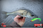Ripper REDBASS SWIMMER SLIM XL - 125 mm