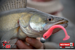 Ripper REDBASS SWIMMER SLIM XL - 125 mm