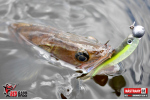Ripper REDBASS SWIMMER SLIM XL - 125 mm