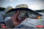 Ripper REDBASS SWIMMER SLIM XL - 125 mm