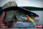 Ripper REDBASS SWIMMER SLIM XL - 125 mm