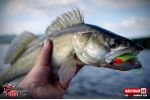 Ripper REDBASS SWIMMER SLIM XL - 125 mm