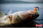 Ripper REDBASS SWIMMER SLIM XL - 125 mm