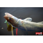 Ripper REDBASS SWIMMER SLIM XL - 125 mm