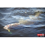 Ripper REDBASS SWIMMER SLIM XL - 125 mm