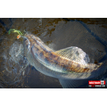Ripper REDBASS SWIMMER SLIM XL - 125 mm