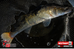 Ripper REDBASS SWIMMER SLIM XL - 125 mm