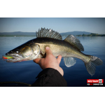 Ripper REDBASS SWIMMER SLIM XL - 125 mm