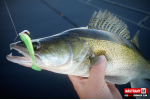 Ripper REDBASS SWIMMER SLIM XL - 125 mm