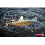 Ripper REDBASS SWIMMER SLIM XL - 125 mm