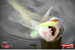 Ripper REDBASS SWIMMER SLIM XL - 125 mm