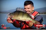 Ripper REDBASS SWIMMER SLIM XL - 125 mm