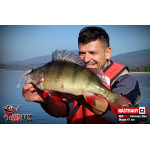 Ripper REDBASS SWIMMER SLIM XL - 125 mm