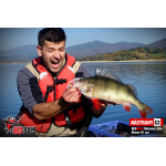 Ripper REDBASS SWIMMER SLIM XL - 125 mm
