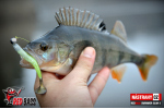 Ripper REDBASS SWIMMER SLIM XL - 125 mm
