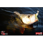 Ripper REDBASS SWIMMER SLIM XL - 125 mm
