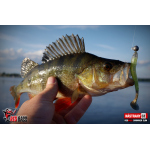 Ripper REDBASS SWIMMER SLIM L - 88 mm
