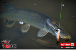Ripper REDBASS SWIMMER SLIM XL - 125 mm