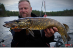 Ripper REDBASS SWIMMER SLIM L - 88 mm
