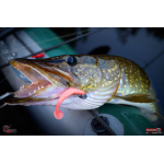 Ripper REDBASS SWIMMER SLIM L - 88 mm