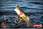 Ripper REDBASS SWIMMER SLIM XL - 125 mm