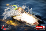 Ripper REDBASS SWIMMER SLIM XL - 125 mm
