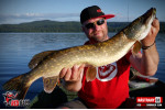 Ripper REDBASS SWIMMER SLIM XL - 125 mm