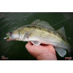 Ripper REDBASS SWIMMER SLIM XL - 125 mm