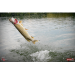 Ripper REDBASS SWIMMER SLIM XL - 125 mm